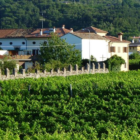 Agriturismo Grillo Iole Winery Prepotto  Exterior photo