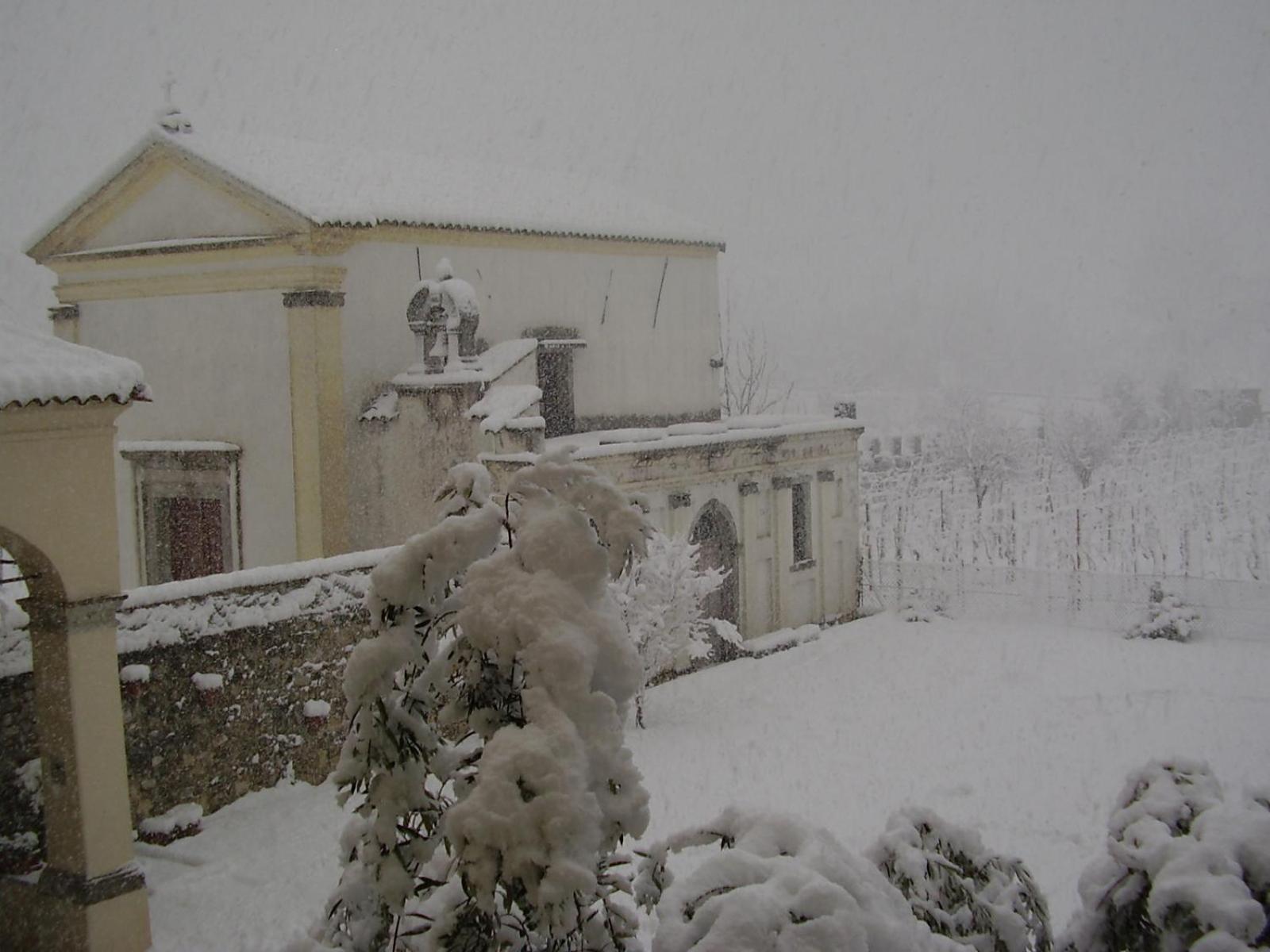 Agriturismo Grillo Iole Winery Prepotto  Exterior photo