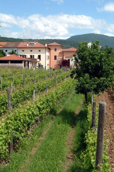 Agriturismo Grillo Iole Winery Prepotto  Exterior photo